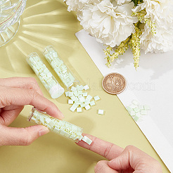 210~240Pcs Glass Seed Beads&nbsp;SEED-NB0002-08G