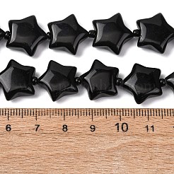 Natural Obsidian Beads Strands&nbsp;G-K359-E13