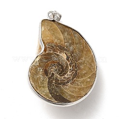 Snail Fossil Pendants&nbsp;G-D051-1