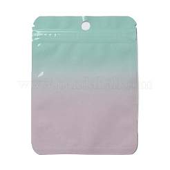 Rectangle Glitter Holographic PVC Resealable Packaging Bags&nbsp;ABAG-P011-01E-01