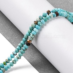 Natural Howlite Beads Strands&nbsp;G-H025-03B-01