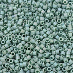 MIYUKI Delica Beads&nbsp;SEED-JP0008-DB2313