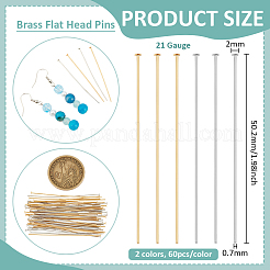 120Pcs 2 Colors Brass Flat Head Pins&nbsp;FIND-BC0019-23