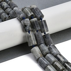 Natural Labradorite Beads Strands&nbsp;G-G162-D13-02