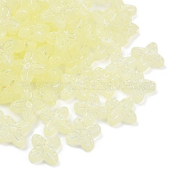 Frosted Transparent Acrylic Beads&nbsp;OACR-P029-09B-03