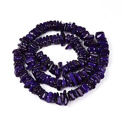Natural Freshwater Shell Beads Strands&nbsp;SHEL-T020-40B