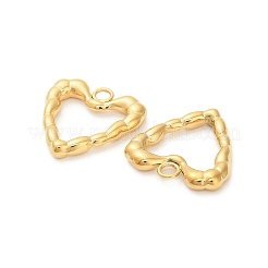 304 Stainless Steel Pendants&nbsp;STAS-K306-70G
