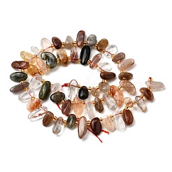 Natural Rutilated Quartz Beads Strands&nbsp;G-Z091-A06