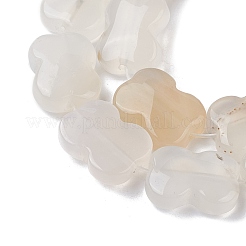 Natural White Agate Beads Strands&nbsp;G-K359-D02-01