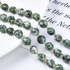 Natural Green Spot Jasper Beads Strands&nbsp;G-N326-100-07