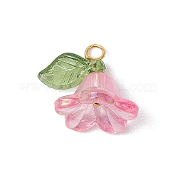 8Pcs Acrylic Charms&nbsp;PALLOY-JF03216