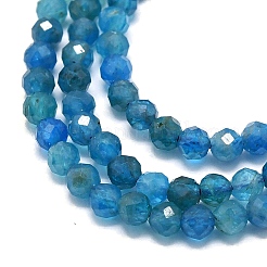 Natural Apatite Beads Strands&nbsp;G-G106-C06-02