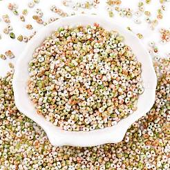 Two Tone Baking Paint Glass Seed Beads&nbsp;SEED-C003-01J