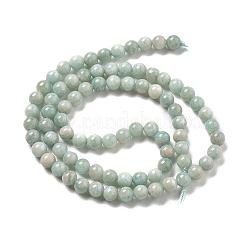 Natural Amazonite Beads Strands&nbsp;G-L618-A01-4mm
