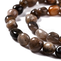 Natural Black Sunstone Beads Strands&nbsp;G-G018-03A