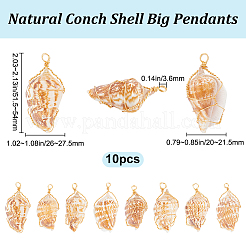 10Pcs Natural Conch Shell Big Pendants&nbsp;FIND-BBC0003-11