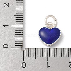 S925 Sterling Silver Pendant&nbsp;LS-STER-H115-05E-S03