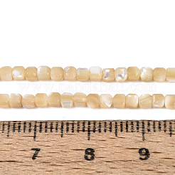 Natural Trochid Shell/Trochus Shell Beads Strands&nbsp;SSHEL-N041-04A-02