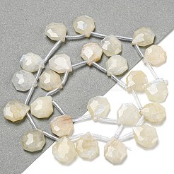 Natural Rainbow Moonstone Beads Strands&nbsp;G-P544-C04-01