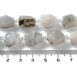 Natural Labradorite Beads Strands&nbsp;G-C182-25-01