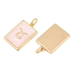 Brass Enamel Pendants&nbsp;KK-CBA62C2-01F
