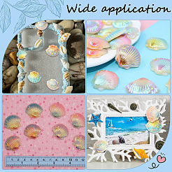 40Pcs 4 Colors Opaque Resin Cabochons&nbsp;CRES-SC0003-11
