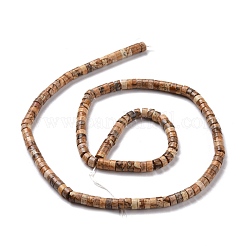 Natural Picture Jasper Beads Strands&nbsp;G-P468-03