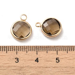 Golden Tone Brass Glass Flat Round Charms&nbsp;GLAA-M003-B-07G