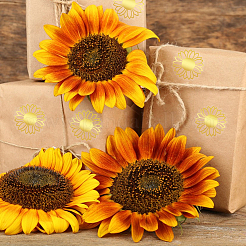 Gold Foil Self-adhesive Stickers&nbsp;DIY-WH20001-13E