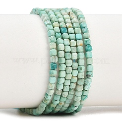 Natural Peruvian Turquoise(Jasper) Beads Strands&nbsp;G-G345-A01-2.5mm