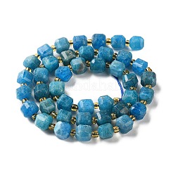 Natural Apatite Beads Strands&nbsp;GG-CBABD99-06