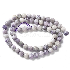 Natural Purple Turquoise Beads Strands&nbsp;G-L595-C04-01