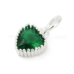 Brass Micro Pave Cubic Zirconia Pendants&nbsp;LS-KK-H204-01S-06