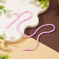 1 Strand Natural Freshwater Shell Dyed Beads Strands&nbsp;SHEL-TA0001-44B