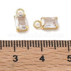 Brass Micro Pave Clear Cubic Zirconia Charms&nbsp;CU-CBAD360-11G-01