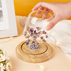 Clear Glass Cloche Dome Display Cases&nbsp;DIY-PH0028-89B
