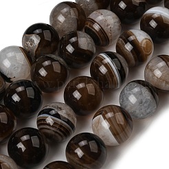 Natural Agate Beads Strands&nbsp;G-F820-K06-16mm-01A