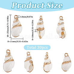 30Pcs Electroplated Spiral Shell Pendants&nbsp;SSHEL-SC0001-29A
