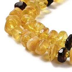 Natural Amber Beads Strands&nbsp;G-L095-I01-01