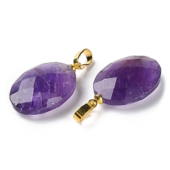 Natural Amethyst Pendants&nbsp;G-E603-03G-02