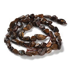 Natural Soil Opal Beads Strands&nbsp;G-P497-01C-13