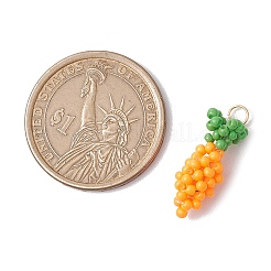 Glass Seed Beads Pendants&nbsp;PALLOY-MZ00458-01