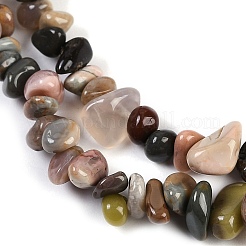 Natural Alashan Agate Beads Strands&nbsp;G-G905-18
