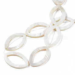 Natural Freshwater Shell Beads Strands&nbsp;SHEL-N026-172