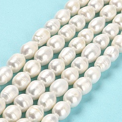 Natural Cultured Freshwater Pearl Beads Strands&nbsp;PEAR-E016-081