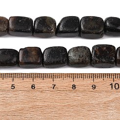 Natural Biotite Beads Strands&nbsp;G-D098-D15