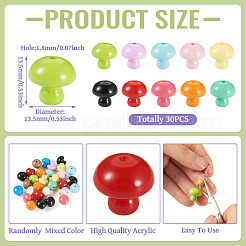 30Pcs Opaque Acrylic Bead&nbsp;OACR-TA0004-04