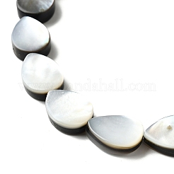 Natural Black Lip Shell Beads Strands&nbsp;BSHE-D300-04B