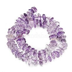 Natural Amethyst Beads Strands&nbsp;G-Z124-A01-02