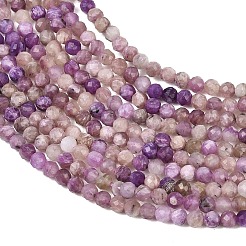 Natural Charoite Beads Strands&nbsp;G-B175-D15-3mm